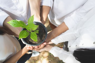 Installer un système d’assainissement écologique pour préserver l’environnement