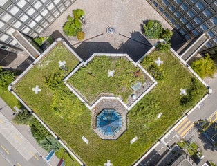 Conception de jardins sur toit : épanouissement des espaces verts en milieu urbain