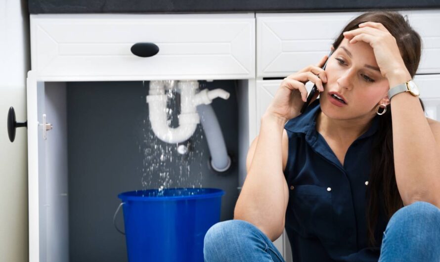 Fuite d&rsquo;eau et canalisation bouchée à Lausanne, faites appel à un sanitaire professionnel